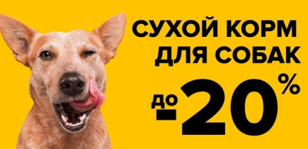 СКИДКА на сухой корм для собак